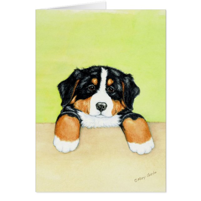 Perrito de Berner (Frente)