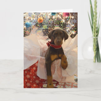 Perrito de Dobie de las Felices Navidad