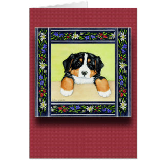 Perrito de la cubierta