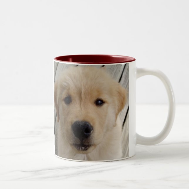 Perrito de la TAZA del golden retriever (Derecha)