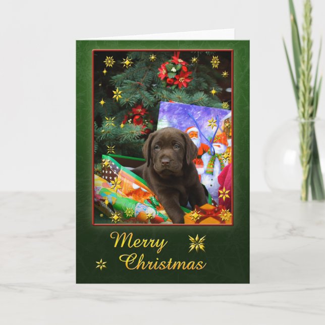 Perrito de Labrador en humor del navidad (Anverso)