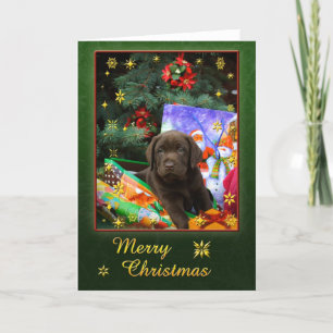 Perrito de Labrador en humor del navidad