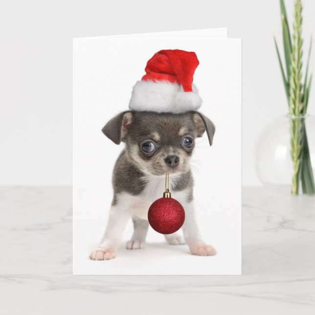 Perrito de las Felices Navidad (Anverso)