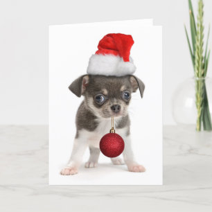 Perrito de las Felices Navidad