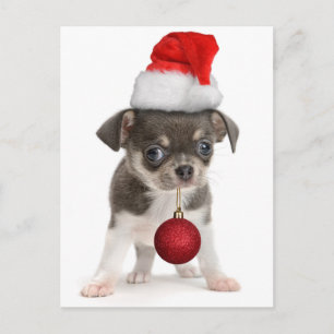Perrito de las Felices Navidad