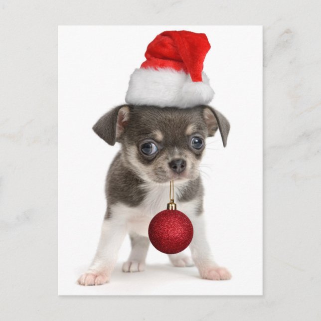 Perrito de las Felices Navidad (Anverso)