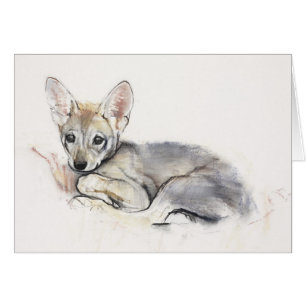 Perrito de lobo árabe encrespado 2009