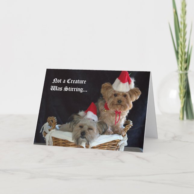 Perrito de Navidad (Anverso)