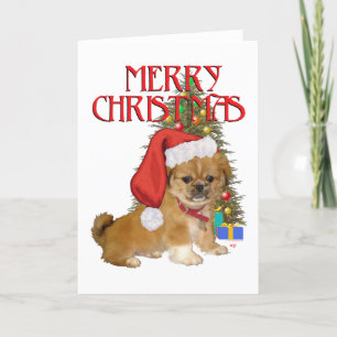 Perrito de Pekín Navidad