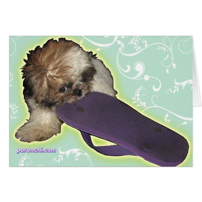 Perrito de Pochi y balanceos púrpuras (Anverso (Horizontal))