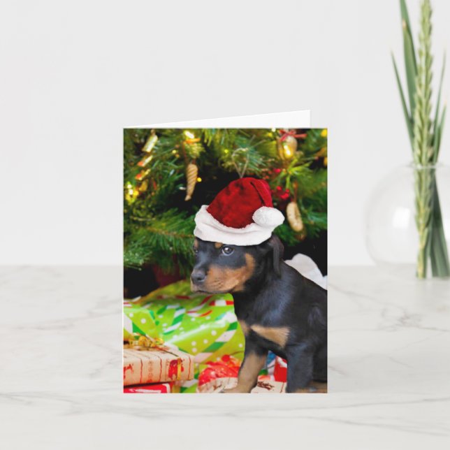 Perrito de Rottweiler del navidad (Anverso)