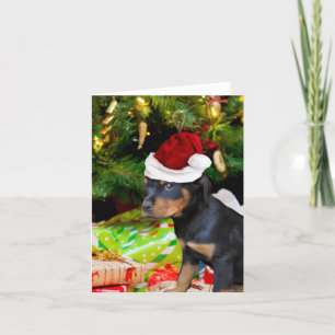 Perrito de Rottweiler del navidad