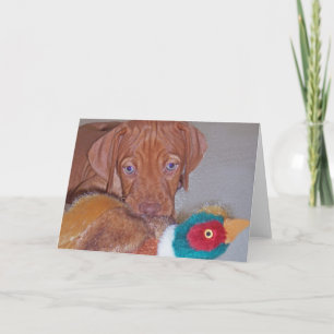 Perrito de Vizsla con la tarjeta de felicitación