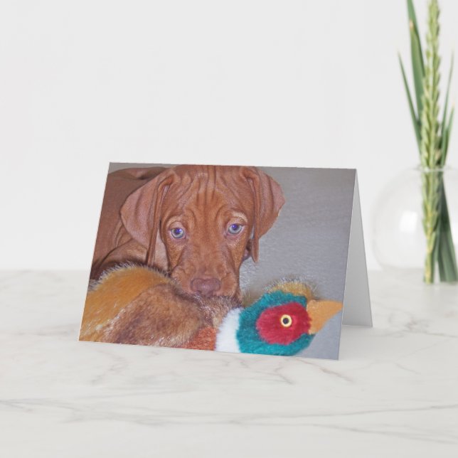 Perrito de Vizsla con la tarjeta de felicitación (Anverso)