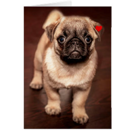 Perrito del barro amasado