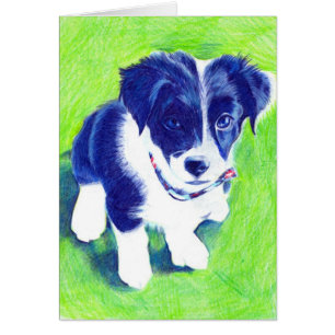 Perrito del border collie en lápiz coloreado