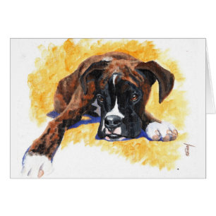 Perrito del boxeador