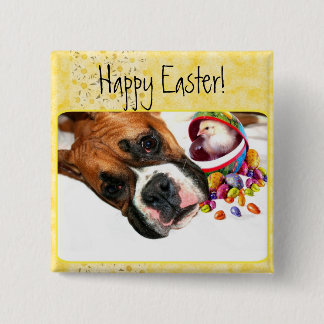 Perrito del boxeador de Pascua y botón felices del
