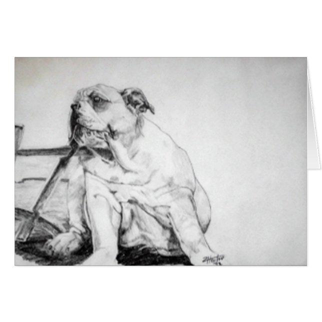 Perrito del bulldog (Anverso (Horizontal))