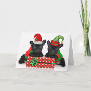 perrito del bulldog con el regalo del navidad