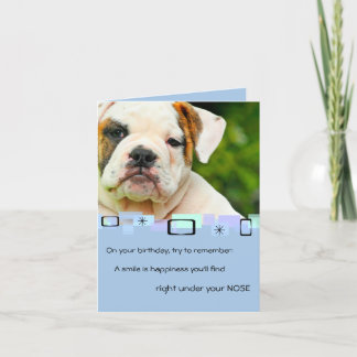 Perrito del bulldog toda la tarjeta de