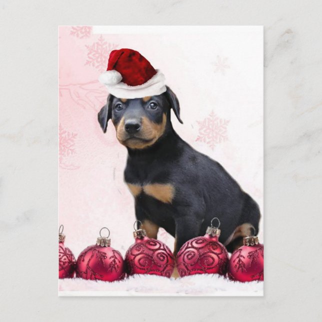 Perrito del Doberman del navidad (Anverso)