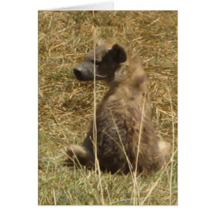 Perrito del Hyena