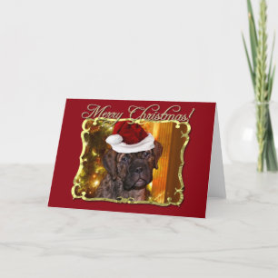 Perrito del mastín del navidad