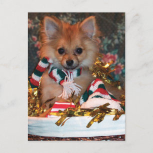 Perrito del navidad