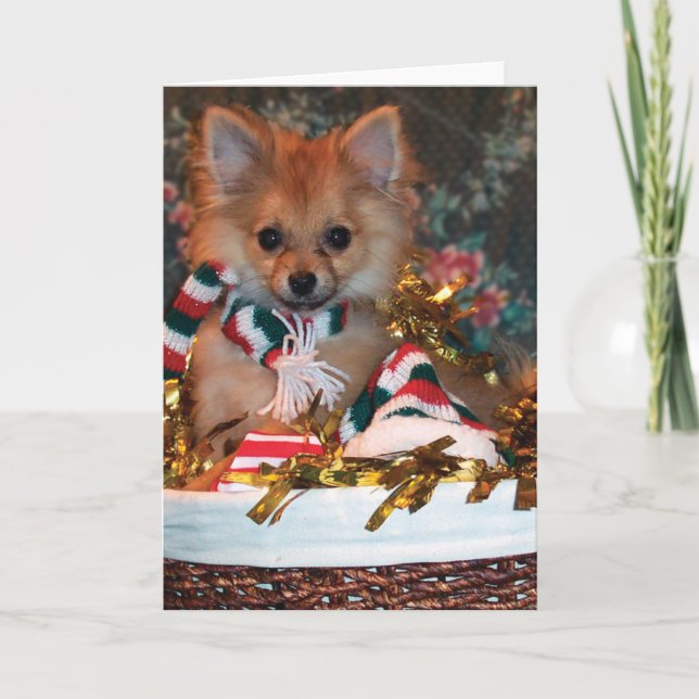 Perrito del navidad (Anverso)