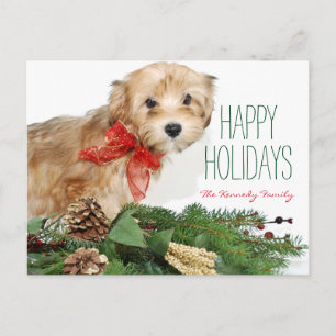 Perrito del navidad con el arco rojo