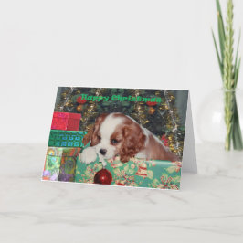 Perrito del navidad de Blenheim