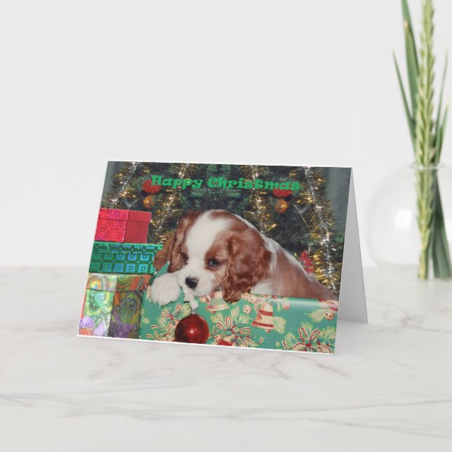 Perrito del navidad de Blenheim (Anverso)