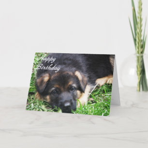 Perrito del pastor alemán - tarjeta de cumpleaños