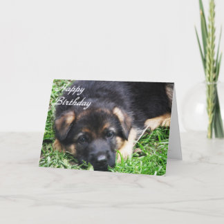 Perrito del pastor alemán - tarjeta de cumpleaños