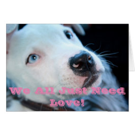 Perrito del pitbull del bebé