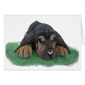 perrito del sabueso