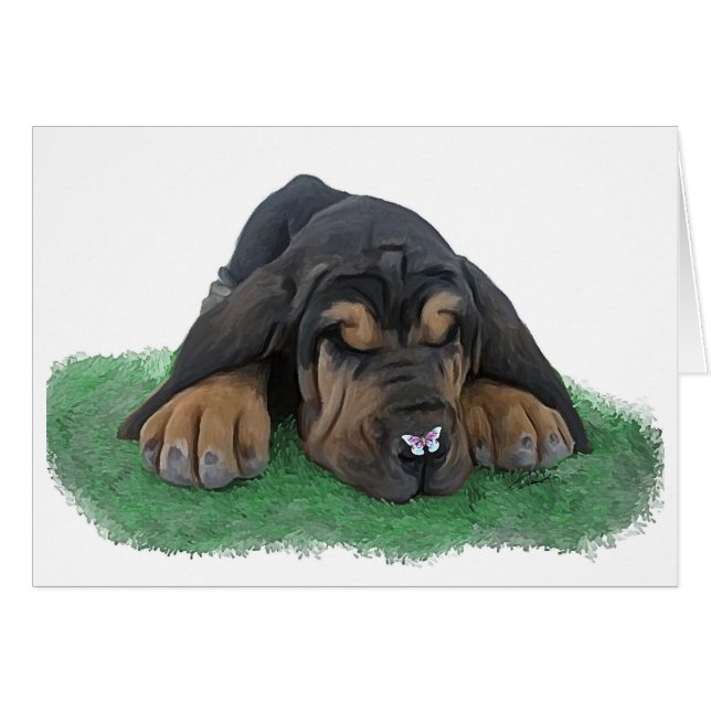 perrito del sabueso (Anverso (Horizontal))