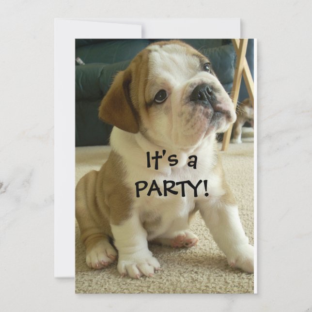 Perrito inglés del bulldog de las invitaciones del (Anverso)
