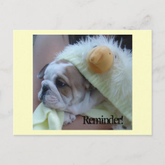 Perrito inglés del bulldog de las postales del