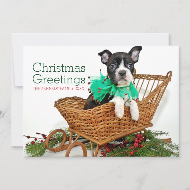 Perrito lindo de Boston Terrier del navidad (Anverso)