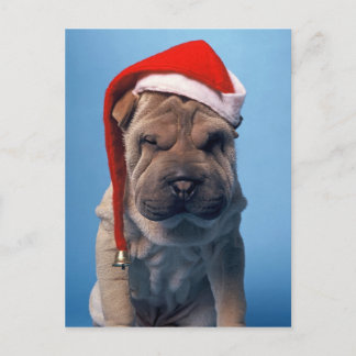 Perrito lindo de Shar Pei con el gorra del navidad