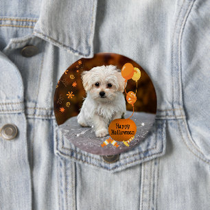 Perrito maltés adorable celebra el botón de Hallow