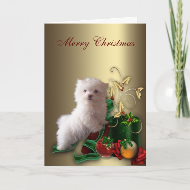 Perrito maltés cachorro Navidad (Anverso)