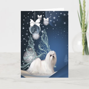 Perrito maltés cachorro Navidad
