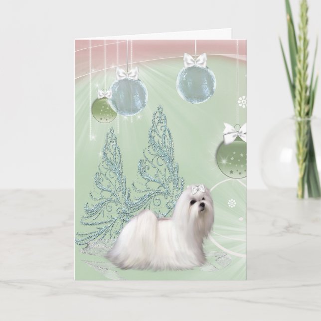 Perrito maltés cachorro Navidad (Anverso)