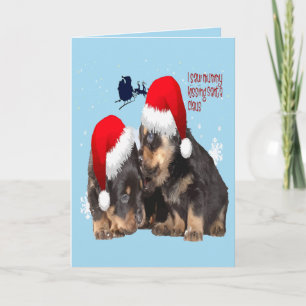 Perrito Navidad Blanca Con Trineo De Santa Claus
