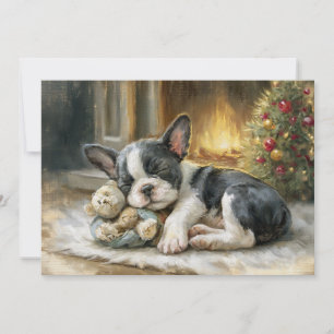 Perrito negro y blanco durmiendo Navidad