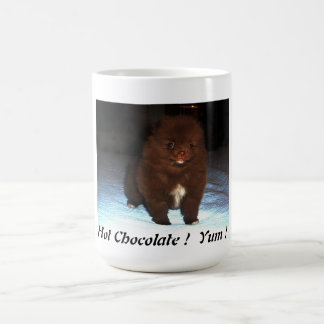 Perrito pomeranian del chocolate en la taza
