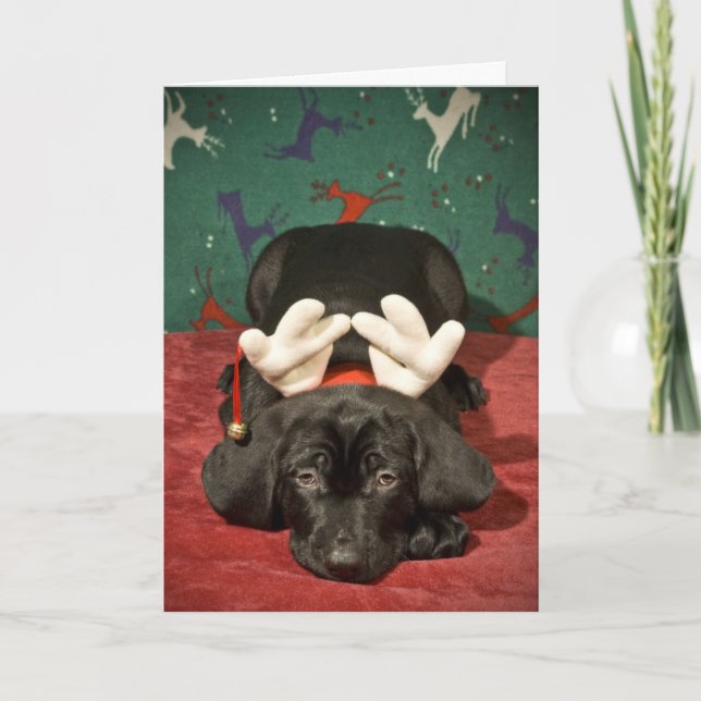 Perrito triste del navidad (Anverso)